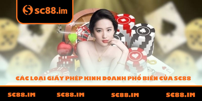 Các Loại Giấy Phép Kinh Doanh Phổ Biến Của SC88