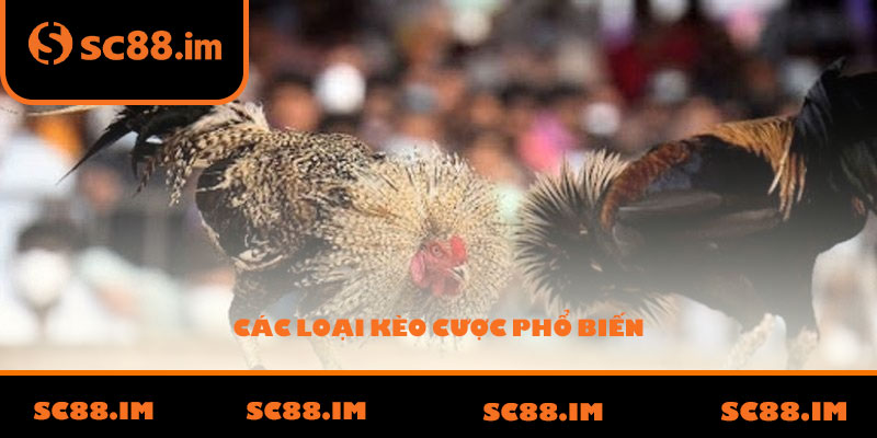 Các loại kèo cược phổ biến